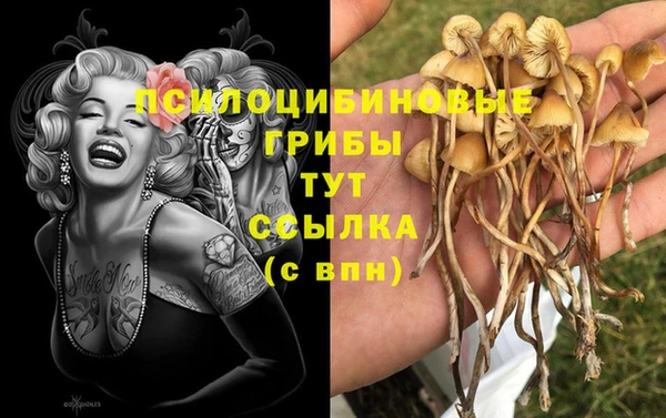 СК Балабаново