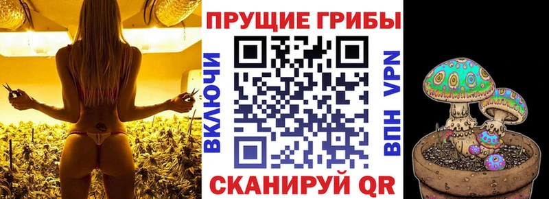 Псилоцибиновые грибы Psilocybine cubensis  blacksprut ссылка  Бор 
